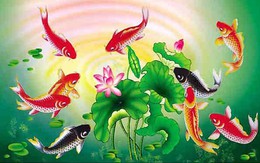 Cách bài trí tranh chín con cá chép giúp thăng tiến trong sự nghiệp và thịnh vượng về tài chính