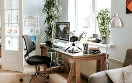 Bài trí bàn học chú trọng được những yếu tố sau sẽ giúp trẻ tập trung, học tập tốt, thi cử đỗ đạt
