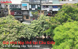 Giá nhà tập thể tại Cầu Giấy, cũ kỹ nhưng vẫn ‘hút vàng’, nhiều căn chạm và vượt ngưỡng 5 tỷ đồng/căn