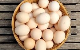 Thực phẩm 'tiếp sức mùa thi' cho các sĩ tử có sức khỏe, không bị ốm