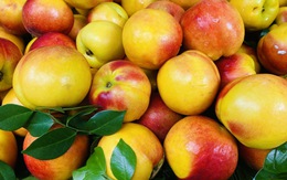 Loại quả giàu chất chống oxy hóa đang vào mùa, bán đầy chợ Việt giá hơn chục nghìn/kg