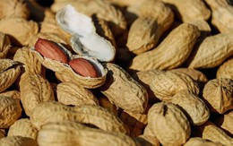 Đây là những thực phẩm các sĩ tử nên tránh ăn trước ngày thi để may mắn