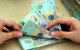 Đưa thông tin gian dối, nguyên nữ Chủ tịch phụ nữ xã lừa hơn 15 tỉ đồng