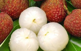 Thời điểm ăn quả vải mang lại nhiều công dụng tốt nhất