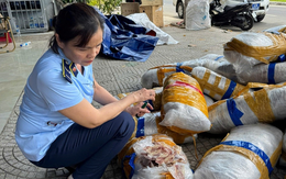 700kg mực khô không rõ chủ bốc mùi trên vỉa hè Đà Nẵng
