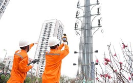 Lịch cúp điện Bến Tre từ ngày 9 - 15/6/2025: Cúp điện cả ngày nhiều khu dân cư và tuyến đường để sửa chữa