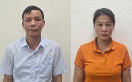 Hé lộ nguyên nhân Giám đốc công ty lâm nghiệp ở Quảng Ninh bị khởi tố