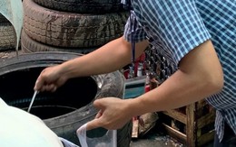 Sốt xuất huyết gia tăng báo động tại TPHCM
