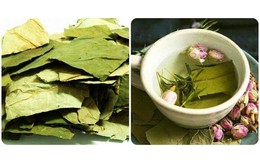Uống nước lá sen có tác dụng gì?