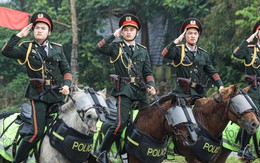 Ngắm dàn chiến mã tinh nhuệ tập luyện cho lễ diễu binh 2/9
