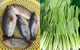 Cách nấu canh cải cá rô với gừng không tanh lại hết mùi bùn - món xưa đậm đà tình mẹ, tình quê trong tôi