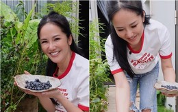 Hành trình vượt bạo bệnh của ca sĩ Hồng Nhung nhờ khu vườn trên cao và không gian 'chữa lành'