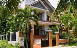 Nếu nhà bạn sở hữu loại cây này, con cháu hưởng phúc, cả nhà được bình an, ấm no