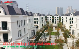 Bất ngờ trước giá cho thuê biệt thự tại phường Hà Đông từ tháng 7/2025