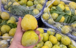 Một loại mận của Trung Quốc có giá vài trăm nghìn đồng/kg đổ bộ thị trường quả Việt được chị em săn đón