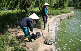 Quảng Trị: Nguyên nhân cá chết bất thường tại hồ điều hòa Nam Lý