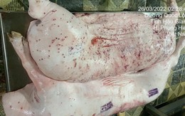 Thông tin mới nhất vụ Công ty C.P. Việt Nam bị 'tố' dùng lợn bệnh
