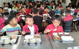 Chi tiết mức hỗ trợ bữa ăn bán trú trên địa bàn Hà Nội, áp dụng ngay năm học mới này