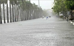 Tin sáng 24/7: Miền Bắc, Trung Bộ hứng đợt mưa lớn kéo dài; Chân dung giám đốc bị bắt vì ma tuý cùng với nhà thiết kế Công Trí
