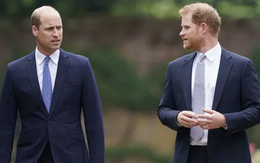 Sự thật ít ai ngờ: William và Harry không thừa kế nơi mẹ yên nghỉ!