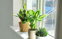 Cách tận dụng nguồn năng lượng đặc biệt của tháng 6 nhuận để kích hoạt may mắn, thịnh vượng