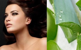 Ủ tóc bằng nha đam có tác dụng gì?