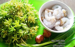 Canh đầu tôm nấu với rau này ngon '10 người ăn đều mê' nhưng chuyên gia lại bảo cẩn thận khi ăn