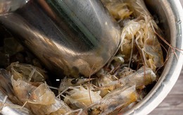 Cấp đông tôm trong tủ lạnh vẫn bị thâm đen, mất vị và cách làm dễ nhất giữ màu sắc, độ ngọt như tôm vừa mua ở chợ về