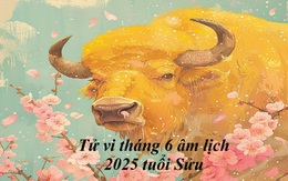 Tử vi tháng 6 âm lịch 2025 dự báo tuổi Sửu sẽ dễ mất tiền bạc, cần làm ngay điều này để tránh điều xui