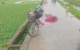 Người phụ nữ bị sét đánh tử vong khi đi qua cánh đồng ở Hà Nội