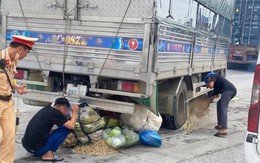 Hải Phòng: Liên tiếp xảy ra 3 vụ tai nạn giao thông làm 4 người thương vong trong một ngày