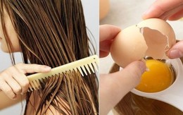Tóc hư tổn do sử dụng quá nhiều hóa chất, muốn phục hồi nhanh, hãy sử dụng thực phẩm sau vừa rẻ tiền lại hiệu quả