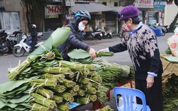 Lá tre bỗng dưng đắt khách, loài hoa dân dã trở thành 'ngôi sao'