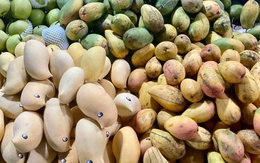Tiểu thương tiết lộ về nguồn gốc của loại xoài vàng ươm, thơm nức đang bán đầy chợ Việt