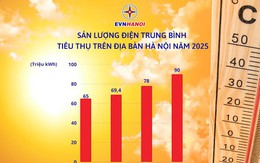 Hà Nội hướng dẫn cách tự động 'thắt chặt' số điện khi 'chót' tiêu thụ quá mức