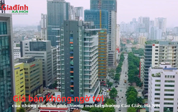 Giá bán không ngờ tới của những căn nhà phố thương mại tại phường Cầu Giấy, Hà Nội