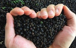 Việt Nam có ‘kho vàng đen’ 274.000 tấn, Mỹ mua lượng lớn bất ngờ