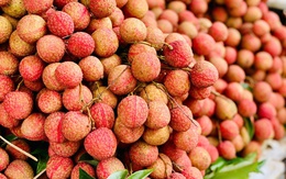 Vải thiều ‘đại hạ giá’ chỉ vài nghìn đồng/kg bán tràn ngập thị trường