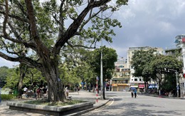 Miền Bắc lại đón mưa lớn sau nắng nóng cục bộ