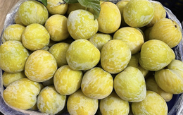 Thêm một loại quả Trung Quốc đổ bộ chợ Việt, giá 450.000 đồng/kg vẫn ‘cháy hàng’