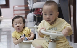 'Của để dành' nhà Phương Oanh lộ diện sau thông tin bịa đặt 'Shark Bình cho vợ 1 tỷ tiêu vặt'