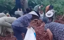 Vụ ô tô chở vải bị lật: Chủ xe nhận được khoảng hơn 40 triệu đồng giúp đỡ từ cộng đồng