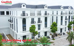 Giá bán không ngờ tới loạt biệt thự tại phường Long Biên, Hà Nội sau sáp nhập