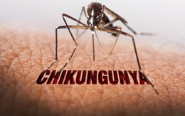 Bệnh Chikungunya đang gia tăng tại một số quốc gia trong khu vực, Việt Nam làm gì để phòng ngừa nguy cơ lây nhiễm?
