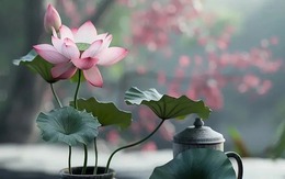 Bí ẩn ngày sinh Âm lịch của những người dám mạo hiểm: Càng liều lĩnh, càng dễ phát tài