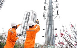 Lịch cúp điện Đồng Tháp từ ngày 13 – 17/8/2025: Hàng loạt khách hàng nằm trong diện cúp điện