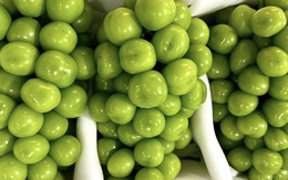 Nho sữa Trung Quốc loại bình dân chỉ còn 15.000 đồng/kg, ngang với mớ rau