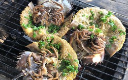 Đặc sản đắt hơn tôm, ghẹ, thuộc dạng quý hiếm ở Quảng Ninh: Bộ phận nào cũng nấu được, vị 'kén người ăn'
