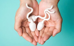 Hiến tinh trùng ở Việt Nam: Quy định mới nhất, ai được phép và thủ tục ra sao?