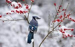 Ngày sinh Âm lịch của người 'nói là làm', càng khó khăn càng dễ bứt phá để vươn tới đỉnh cao